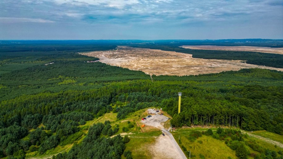 Pustynia Błędowska – Polska Sahara: unikalny ekosystem, historia i atrakcje turystyczne /Shutterstock