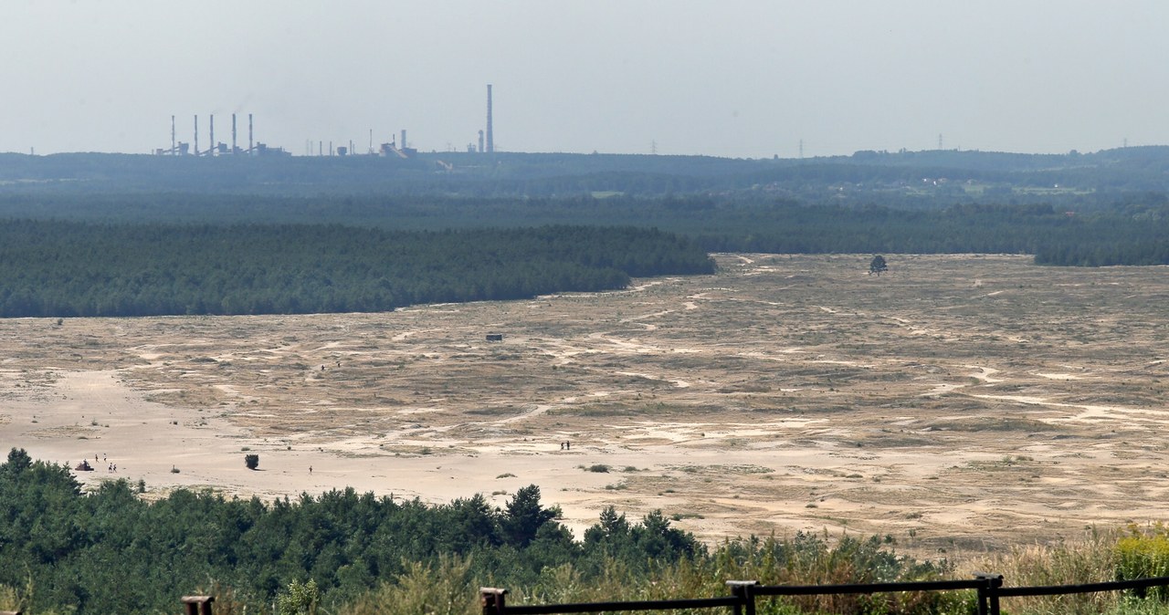 Pustynia Błędowska to największa pustynia w Polsce. Jest tam kilka punktów widokowych. / MONKPRESS /East News