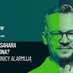 Pustynia Błędowska zagrożona? Przyrodnicy alarmują