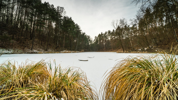 Pustynia Błędowska zimą /Shutterstock