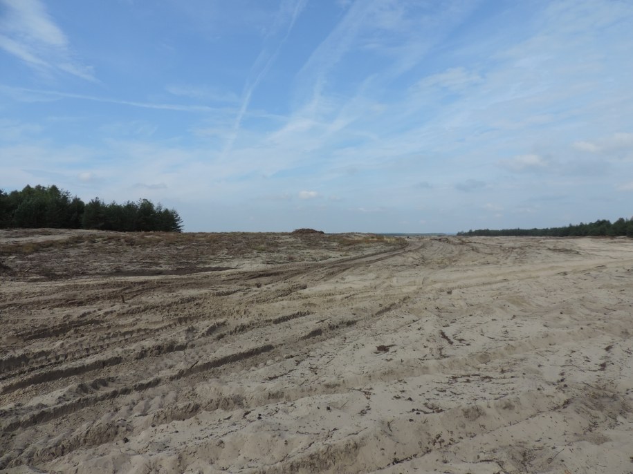 Pustynia Błędowska /Maciej Grzyb /RMF FM