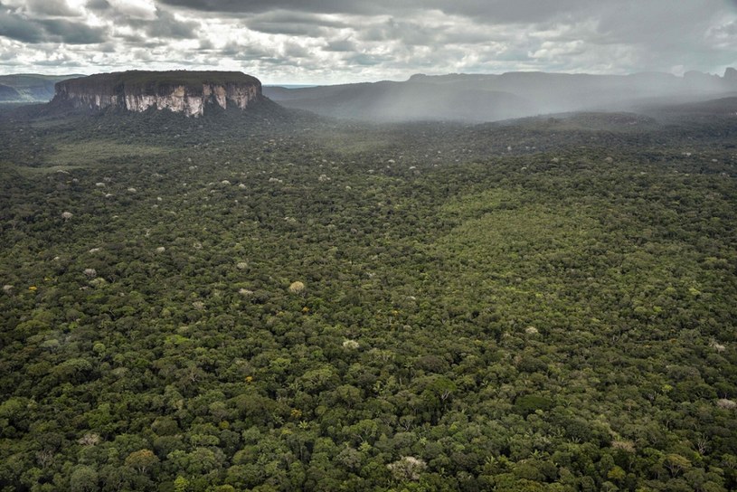 Puszcza amazońska w Kolumbii /Guillermo Legaria /East News