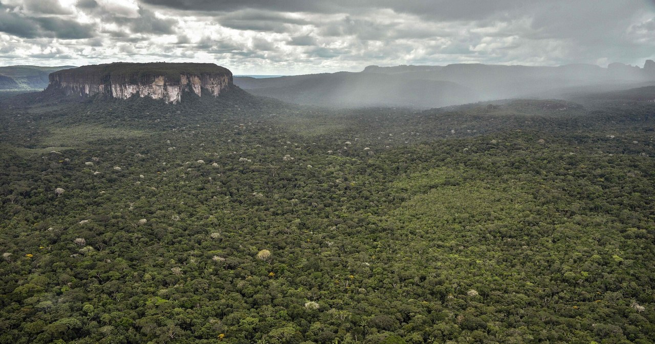 Puszcza amazońska w Kolumbii /Guillermo Legaria /East News