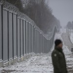 Puszcza Białowieska może zostać uznana za zagrożoną. "Byłby to skandal"