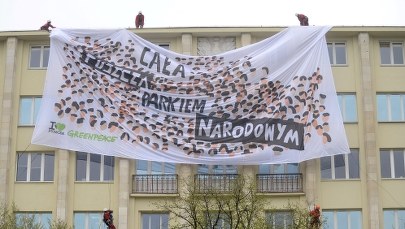 Puszcza Białowieska nadal na liście UNESCO. Spór jednak nie gaśnie