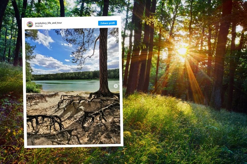 Puszcza Zielonka skrywa prawdziwy skarb Wielkopolski. To jezioro wygląda jak z bajki /Screen Instagram /123RF/PICSEL