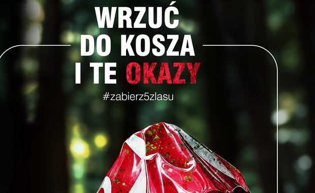 Puszynka leśna, butelczak wiecznisty. Leśnicy pokazali nowe trujące grzyby