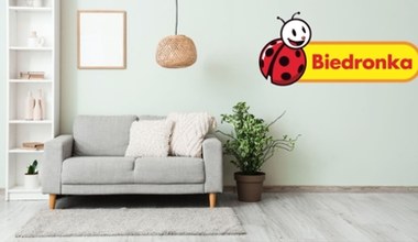 Puszysty i mięciutki dywan w Biedronce! Wymarzony dodatek do Twojego salonu