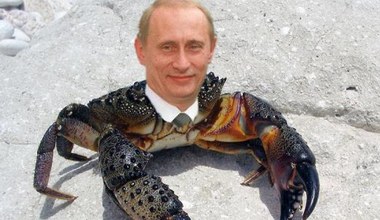 Putin-krab i Lenin-grzyb. Z czego śmieje się cała Rosja?