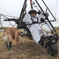 Władimir Putin na motolotni stał się przewodnikiem stada żurwi