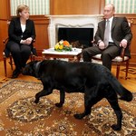 Putin straszył Merkel psem? Była kanclerz komentuje
