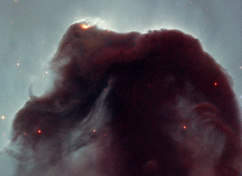 Pył kosmiczny – mgławica Końskiego Łba widziana z teleskopu Hubble’a /NASA, NOAO, ESA and The Hubble Heritage Team STScI/AURA /domena publiczna