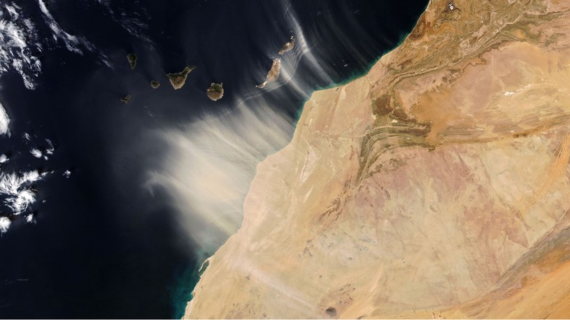 Pył wywiewany znad Sahary /NASA Earth Observatory /NASA