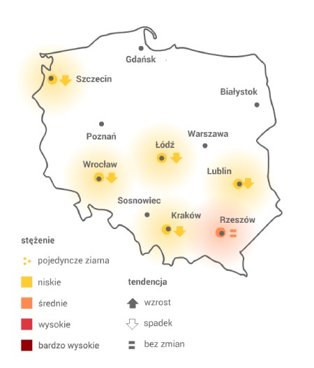 PYLENIE TOPOLI /