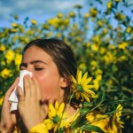 Pyłki brzozy czy leszczyny stały się bardziej agresywne . Źle to wygląda