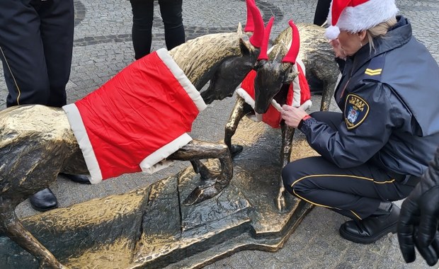 ​Pyrek i Tyrek w świątecznych strojach  