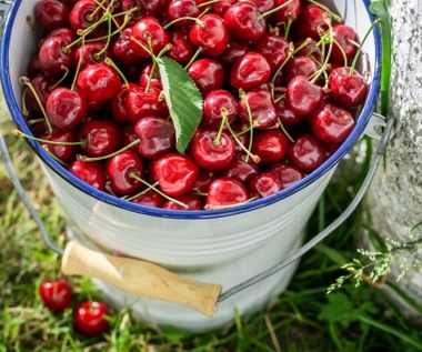 Pyszne, ale czy zdrowe? Czy z cukrzycą lub dną moczanową można jeść czereśnie? 