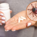 Pytają, czy boreliozę da się wyleczyć? Przyjmowanie antybiotyków latami to mit