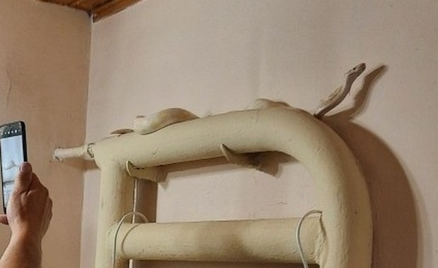 Pyton królewski w łazience. Przerażające odkrycie mieszkanki Poznania