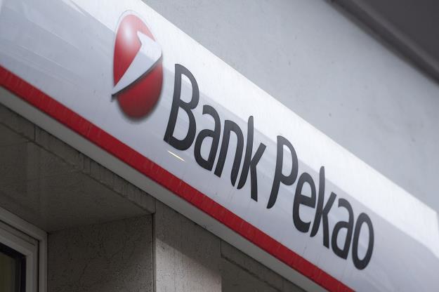 PZU i PFR kupili bank Pekao. Teraz skorzystają z dywidendy /fot. Wojciech Strozyk /Reporter