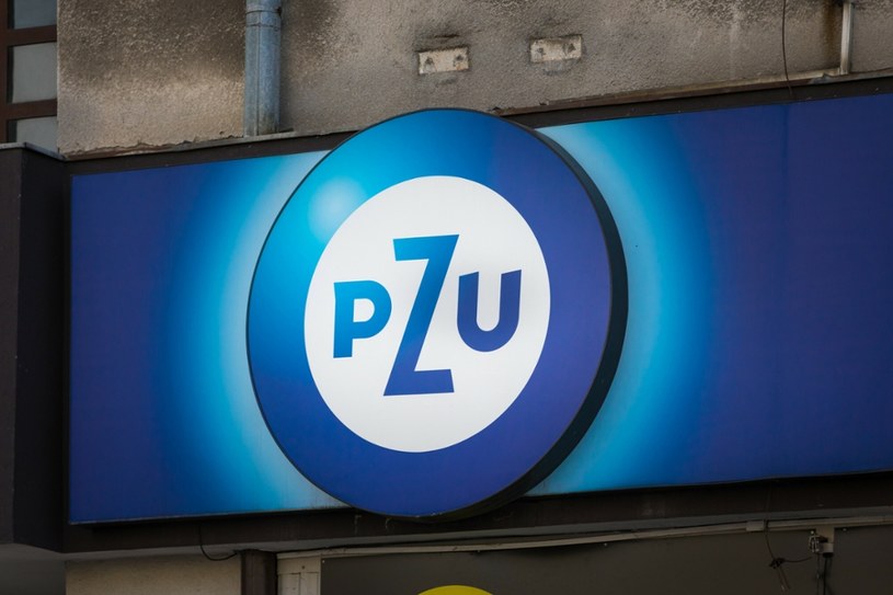 PZU informuje o wysokich zyskach /Arkadiusz Ziółek /East News