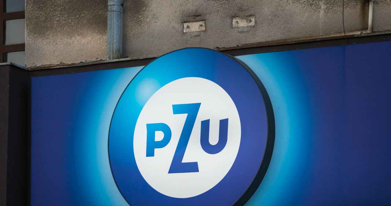 PZU informuje o wysokich zyskach /Arkadiusz Ziółek /East News