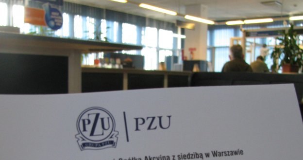 PZU największym debiutem roku wśród polskich spółek /INTERIA.PL