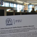 PZU "perła" polskiej gospodarki?