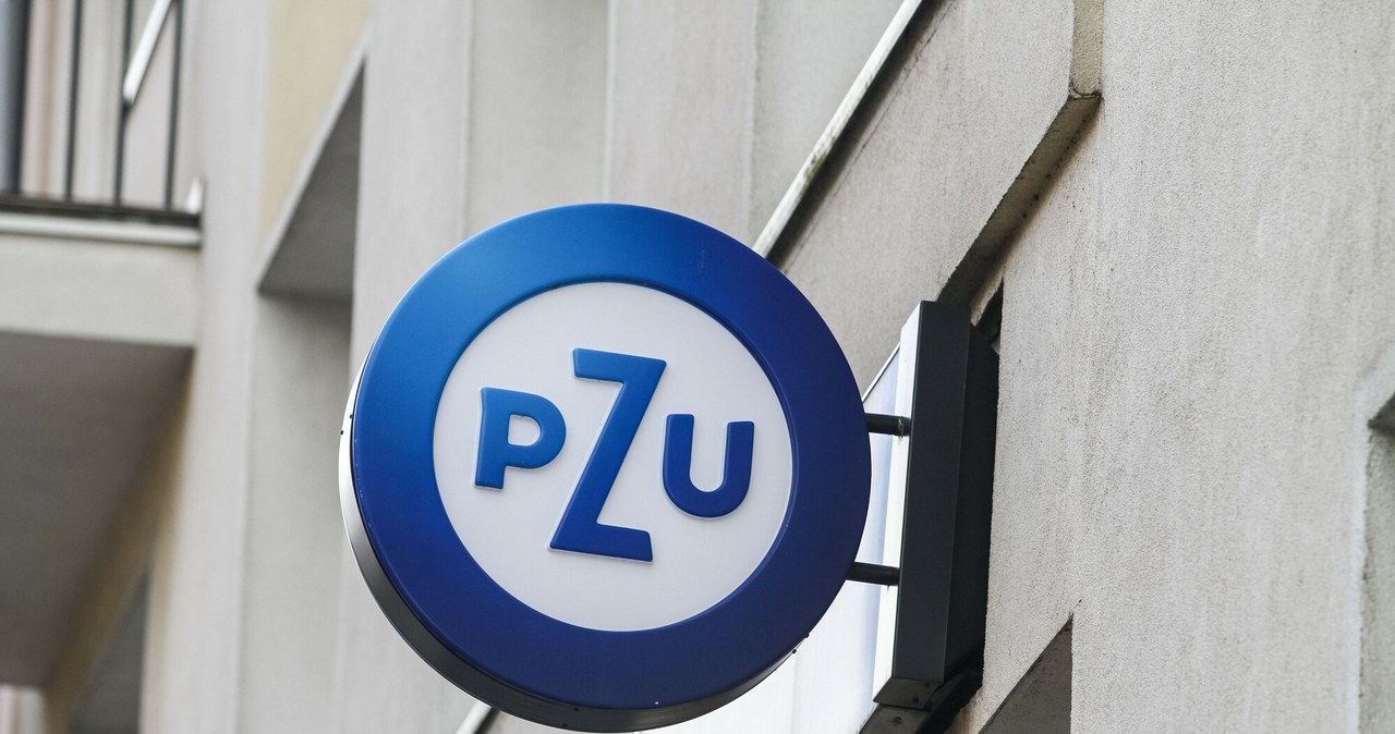 PZU podało wyniki za pierwszy kwartał 2024 r. /Artur Szczepański /Reporter