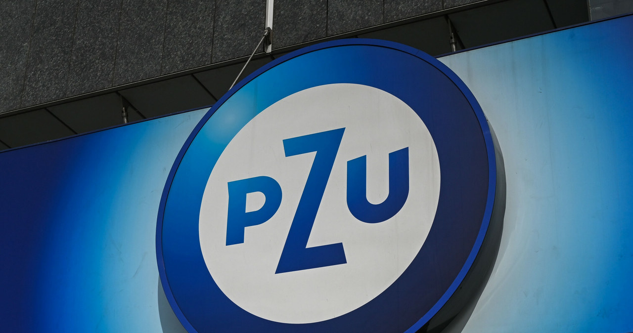 PZU poinformował o zyskach. Zdj. ilustracyjne /Gerard /Reporter
