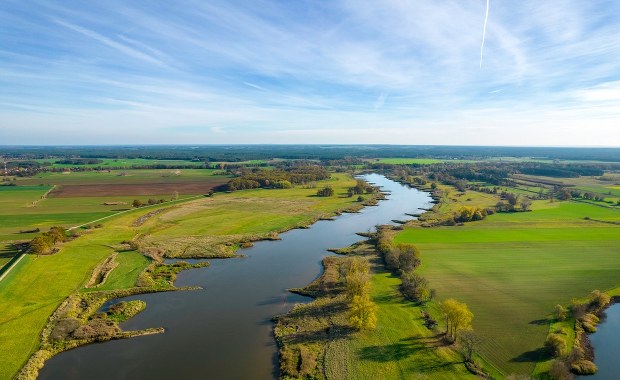 PZW nie chce zarybiać Odry. "Nadal nie wiemy, czy rzeka jest bezpieczna"