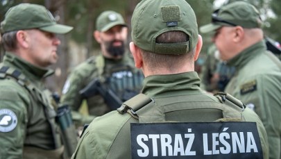 Quadem po lesie. Leśnicy alarmują: wraca problem nielegalnych rajdów