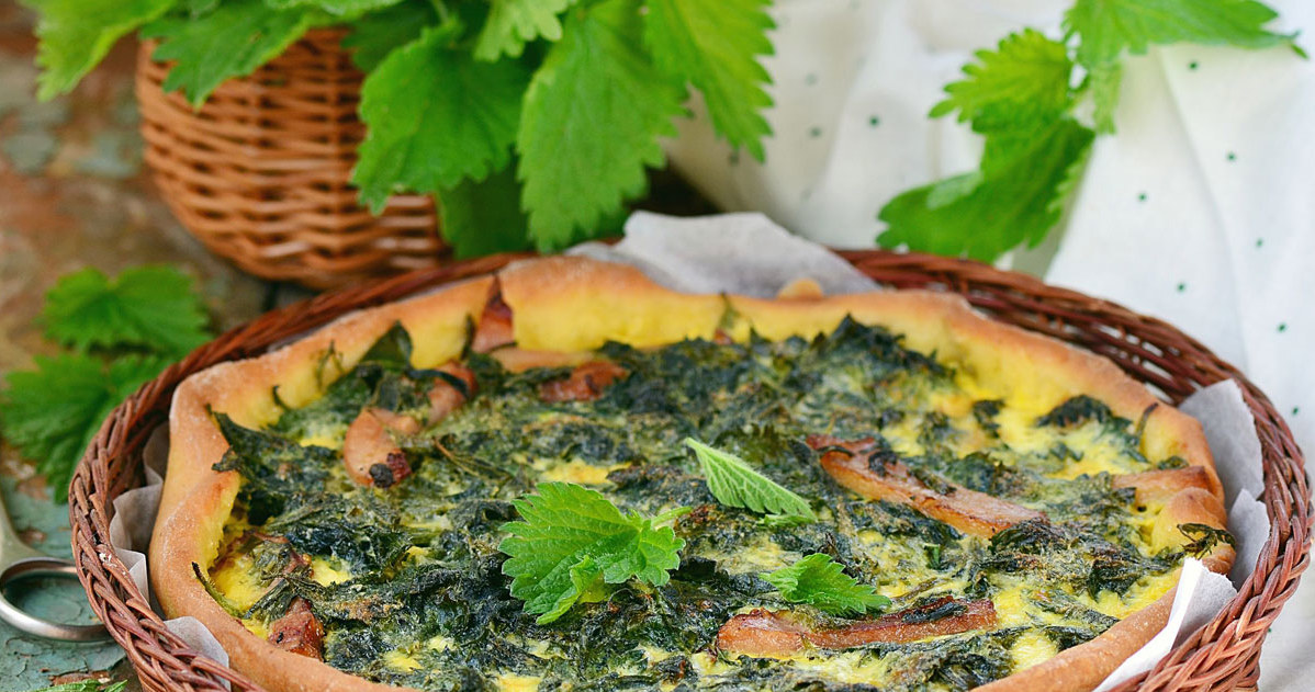 Quiche z pokrzywą /123RF/PICSEL