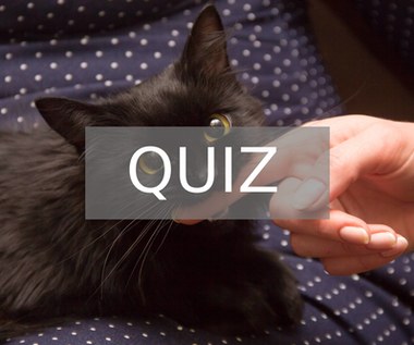 QUIZ: Co wiesz na temat przesądów?
