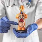 [QUIZ] Ile wiesz o swoim ciele? Sprawdź! Dasz radę uzyskać choć 6/10 punktów?
