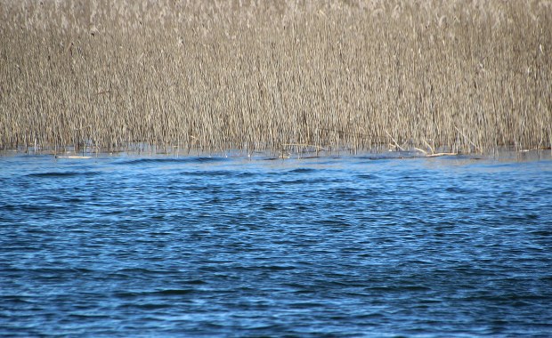 Racibórz: Ciało wyłowione z Odry. W sprawie zatrzymano dwie osoby