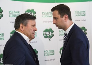 Rada Naczelna PSL: Piechociński podał się do dymisji. Kto następcą?