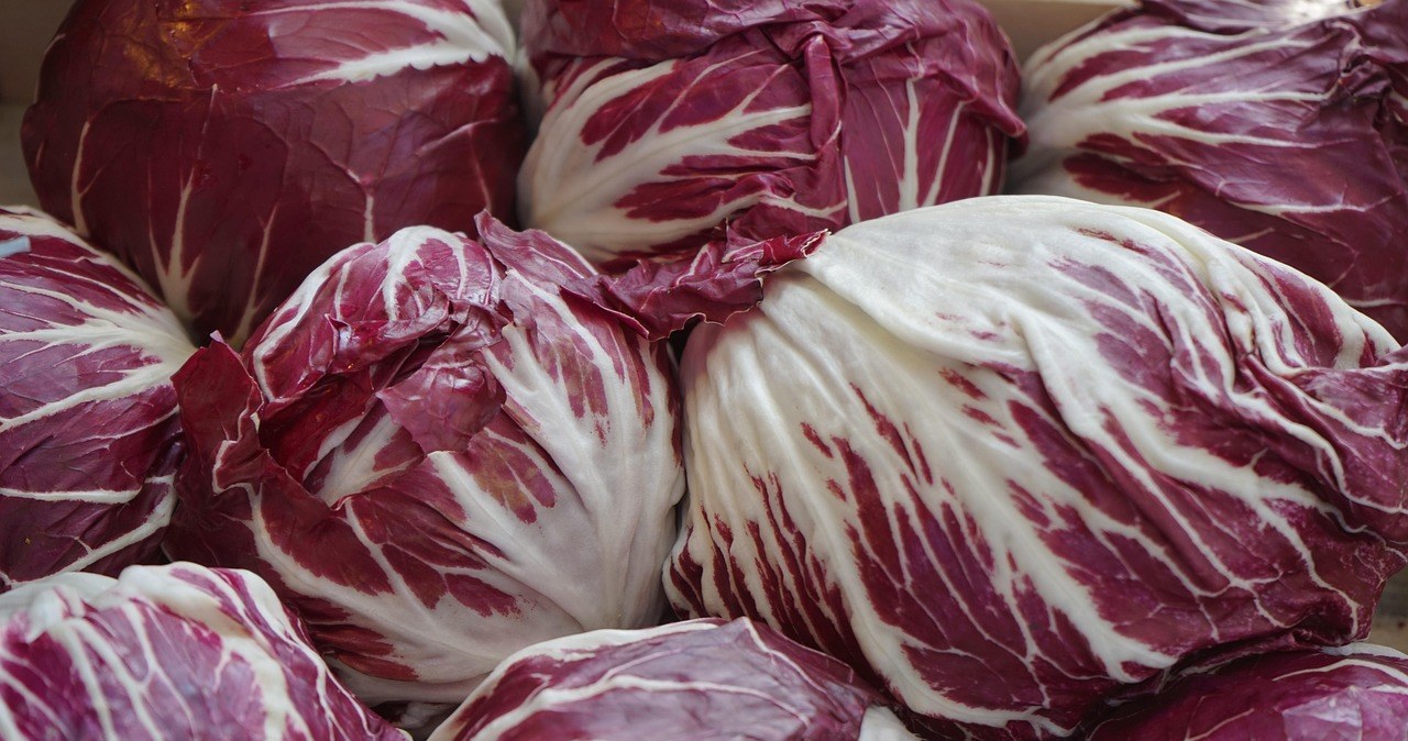 Радічіо - один із найсмачніших салатів /pixabay.com