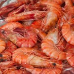 Radioaktywne krewetki. Pilny komunikat agencji żywności