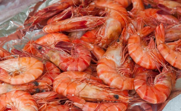 Radioaktywne krewetki. Pilny komunikat agencji żywności