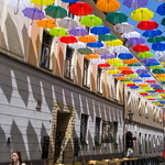 Radny z PiS zniesmaczony kolorowymi parasolkami w śląskiej Pszczynie 