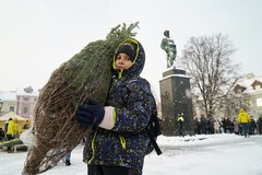 Radom - "Choinki pod choinkę w RMF FM"