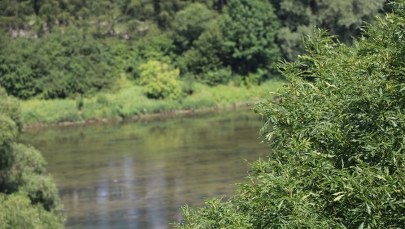 Radom: Zabił żonę, ciało wrzucił do rzeki. Jest wyrok sądu