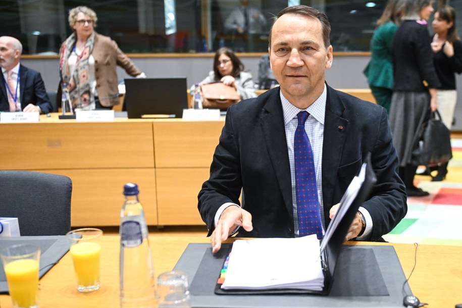 Radosław Sikorski / 	Wiktor Dąbkowski    /PAP