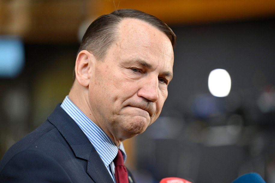 Radosław Sikorski / 	Wiktor Dąbkowski    /PAP