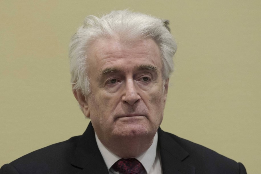 Radovan Karadzic podczas rozprawy sądowej /ANP/PETER DEJONG /PAP