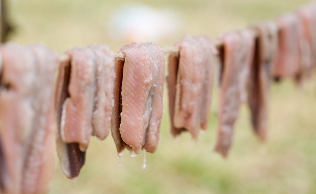 Radzą, by nie otwierali okien. W taki sposób uczczą kontrowersyjne święto