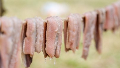 Radzą, by nie otwierali okien. W taki sposób uczczą kontrowersyjne święto