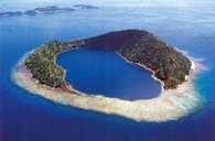 Rafa koralowa,  wyspa  Cobia, Ringold Isles koło Taveuni /Encyklopedia Internautica