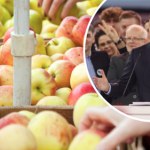 polska żywność Rafał Trzaskowski o polskich firmach. "Maspex może być jak Danone"